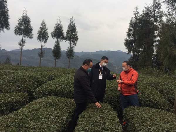 战疫影像|企业复工,检察同行