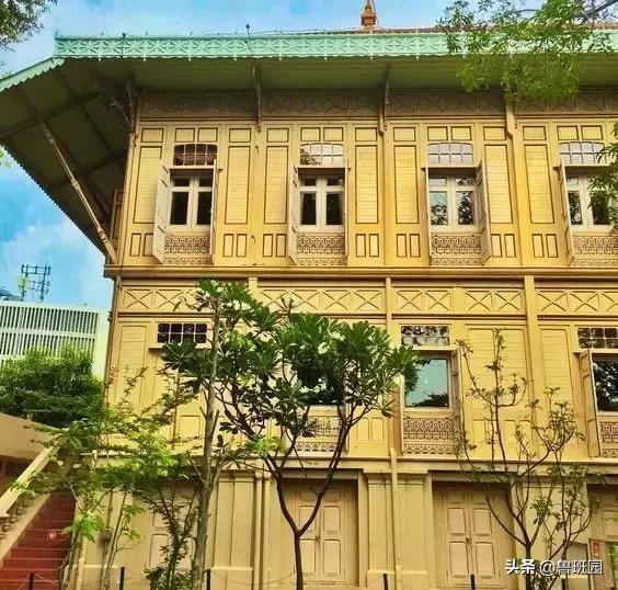 柚木为什么是万木之王,缅甸柚木为什么叫万木之王