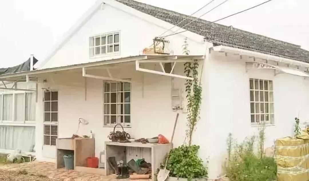 过年趣事阅读,过年趣事随笔