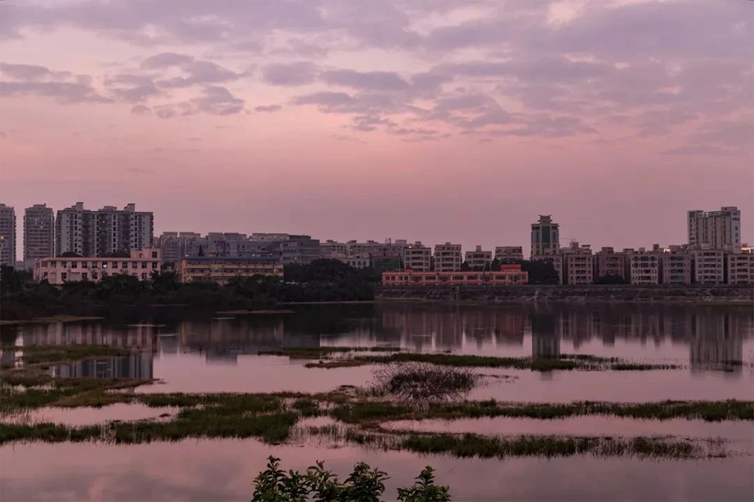坐11号线去深圳看海,11号线碧海湾看海