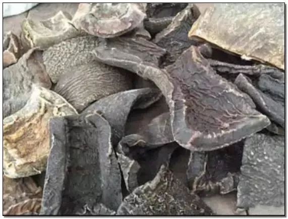 文玩的十大黑幕,文玩最让人无奈的六件事