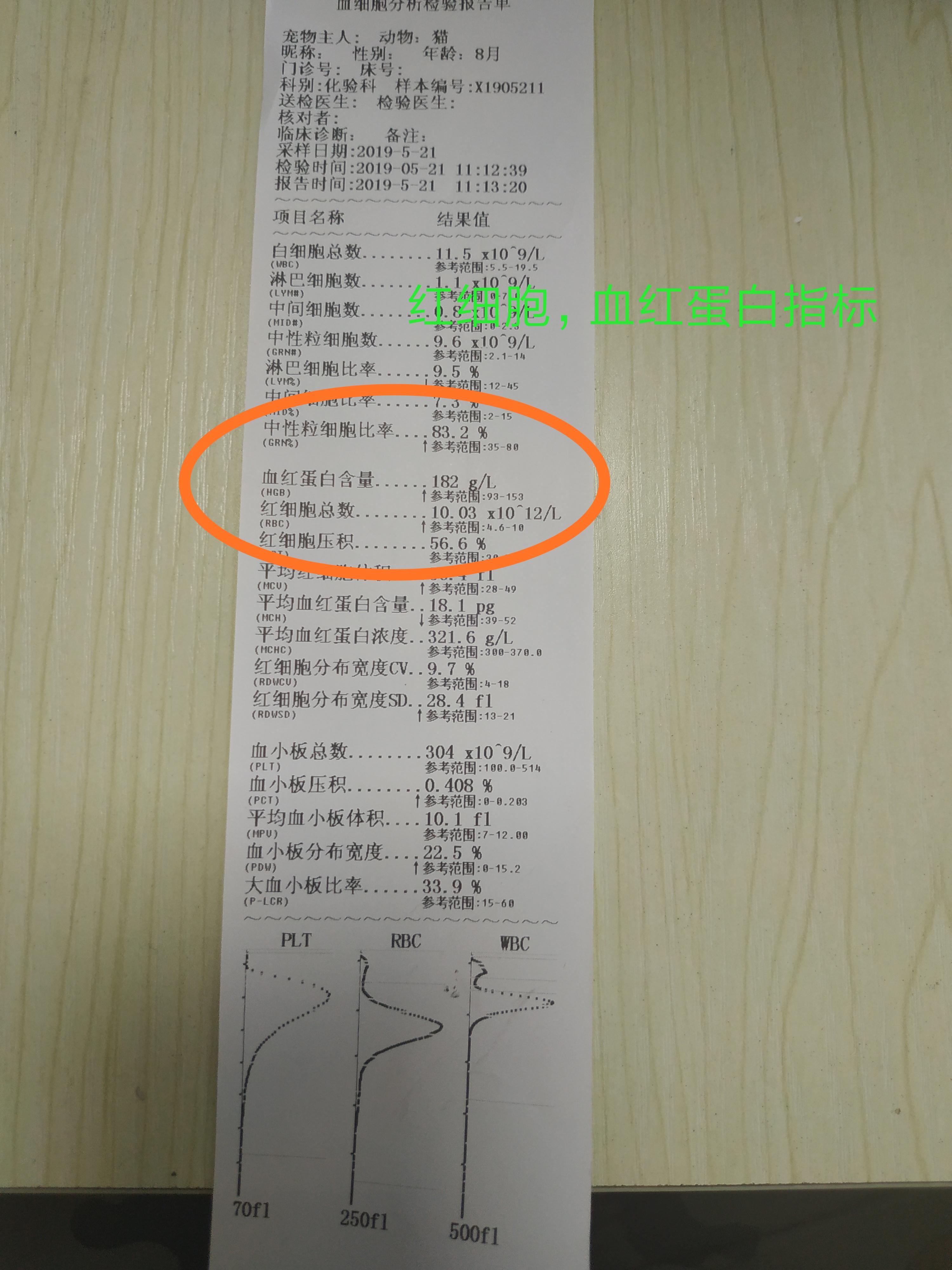 狗狗幼崽贫血怎么补最快,如何判断狗狗贫血的原因