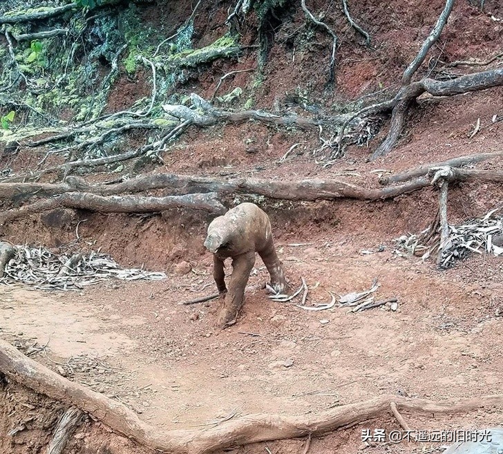 40张你不敢相信自己的眼睛的照片,10张让人怀疑眼睛的图片
