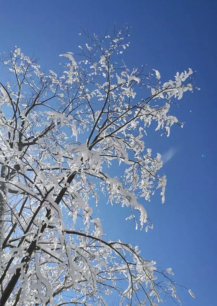 2019年延边州旅游,延边州春节期间活动