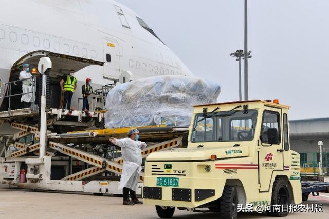 郑州欧洲物流专线,郑州到北美国际包裹时限缩短