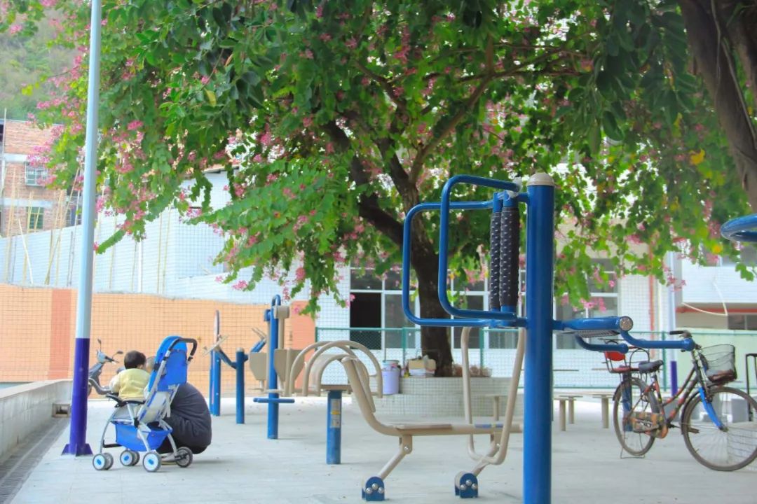 云浮体育公园2021,体育公园云浮