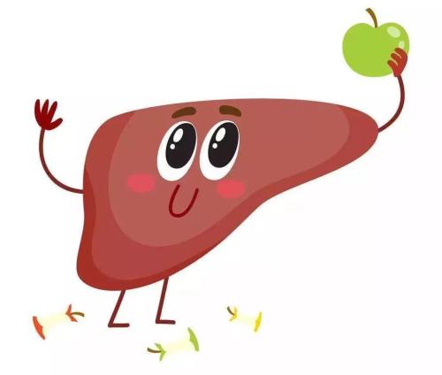 喝什么茶治疗脾胃虚弱肝火旺盛,哺乳期肝火旺盛喝什么茶效果快好