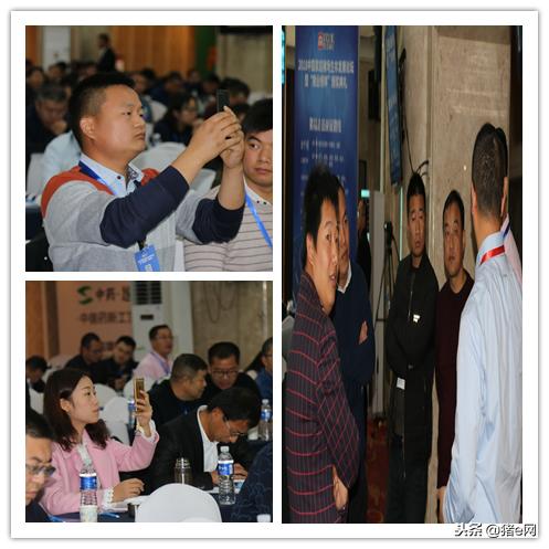 养猪如何支撑利润目标达成,养殖猪发展趋势