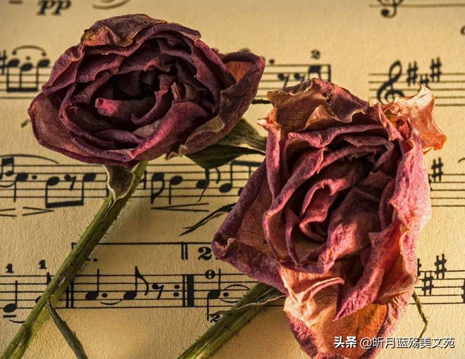 一根烟一杯酒一转身一辈子,一转身一辈子便是永远