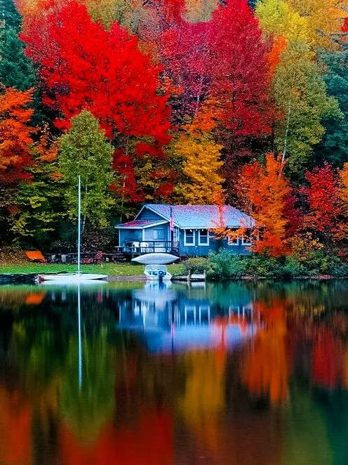 「诗词鉴赏」元曲中的秋天，另一番美丽