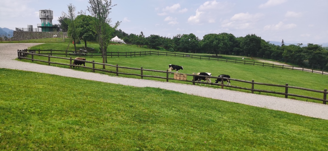 离婚打官司能跳过34天冷静期吗,协议离婚30天冷静期怎么相处