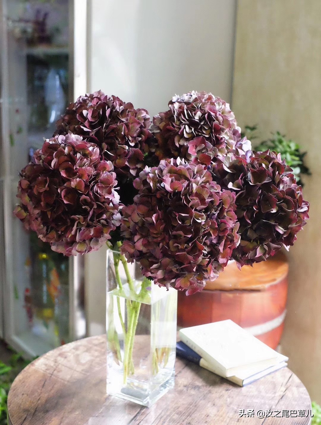 鲜花蔫了注意事项,买的鲜花有点蔫怎么养