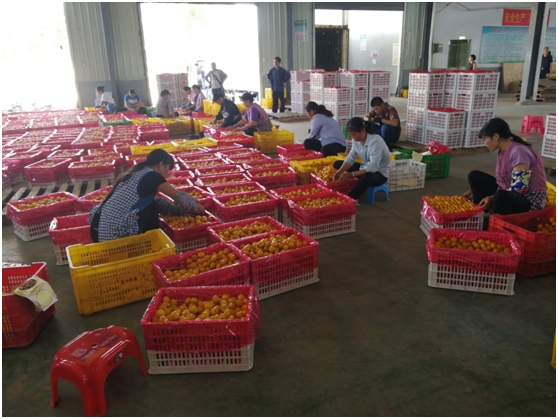 疫情期间农庄消费现状,休闲农庄目前存在共同困境