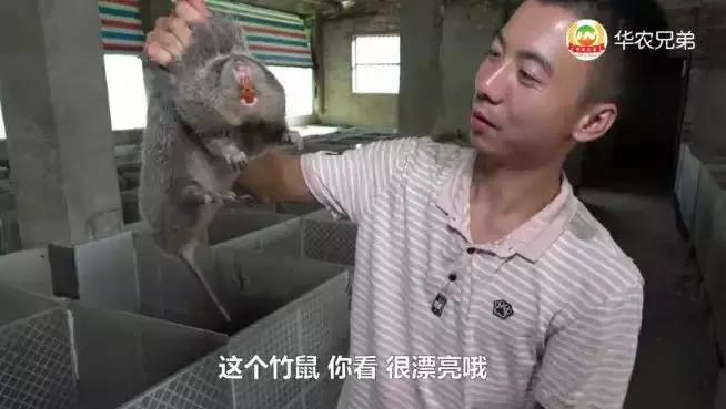 盘点十大意外去世网红,盘点四川十大网红