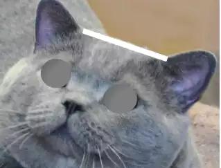 英国短毛猫怎么看品相赚钱,国际爱猫协会发声