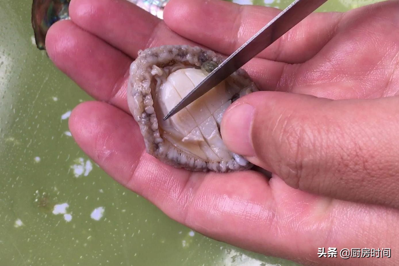 鲍鱼怎样做才好吃视频教程,鲍鱼怎么做好吃又简单家常的