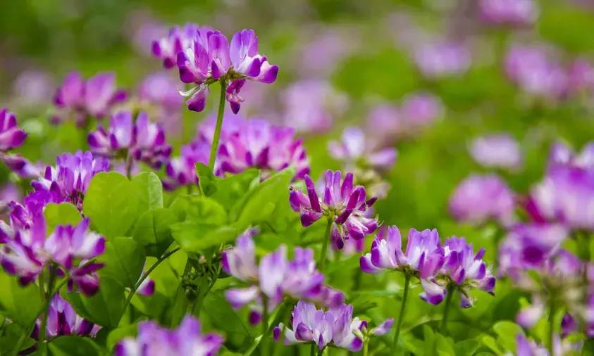 公盂山香格里拉,江南香格里拉公盂村