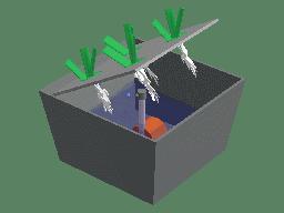 水培蔬菜种植的基础知识,水培蔬菜家庭版水培生菜