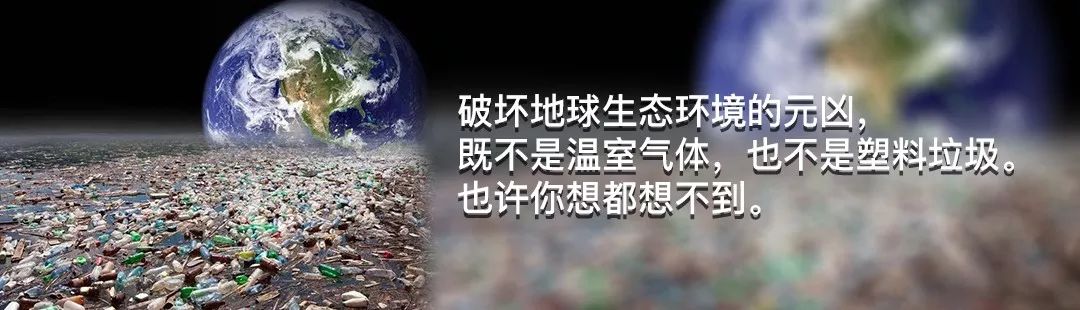 素食餐厅尴尬,素食餐厅为什么总是开不下去