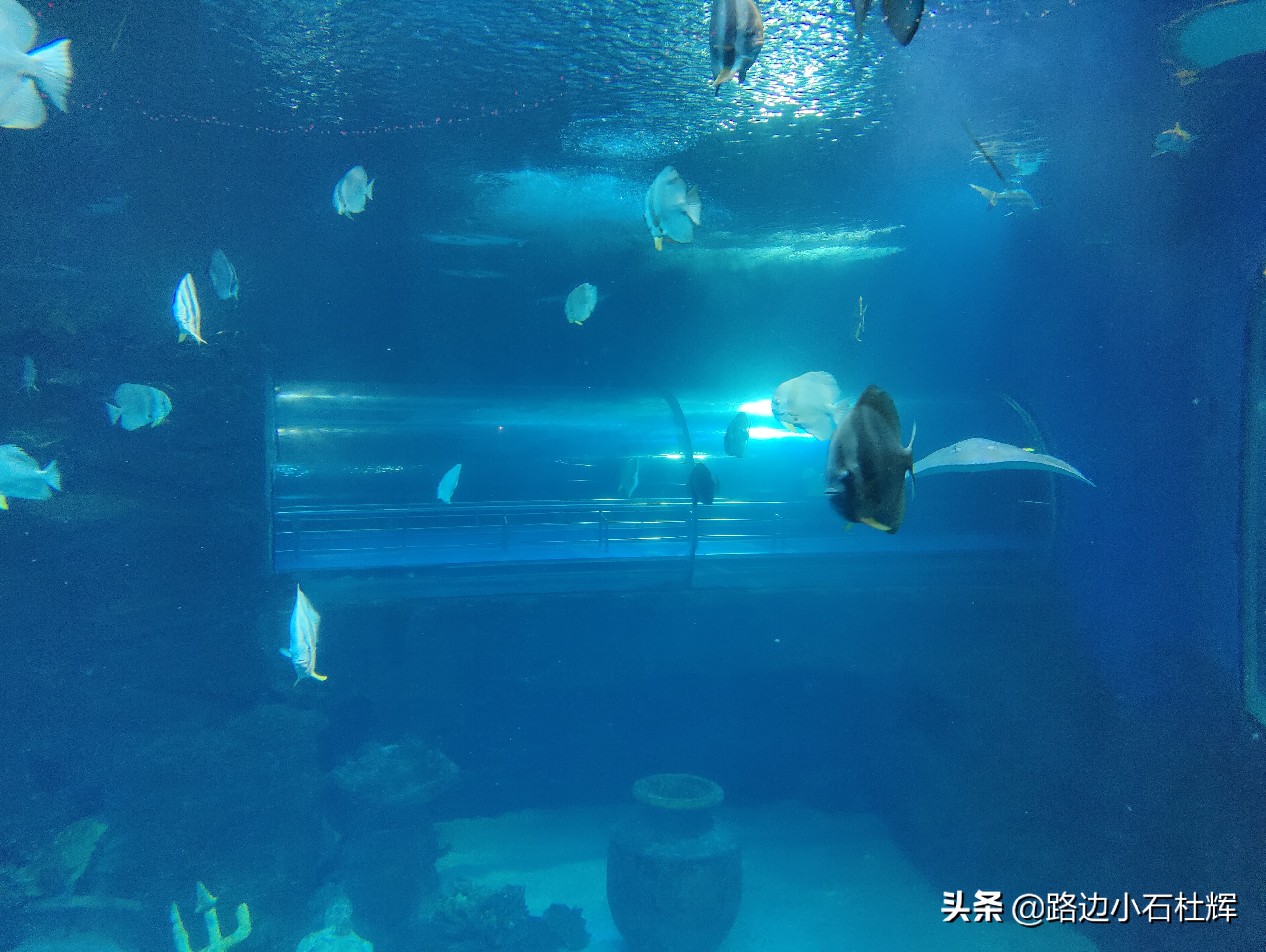 北京海洋馆海底世界游玩攻略,海洋馆北京海底世界游玩路线