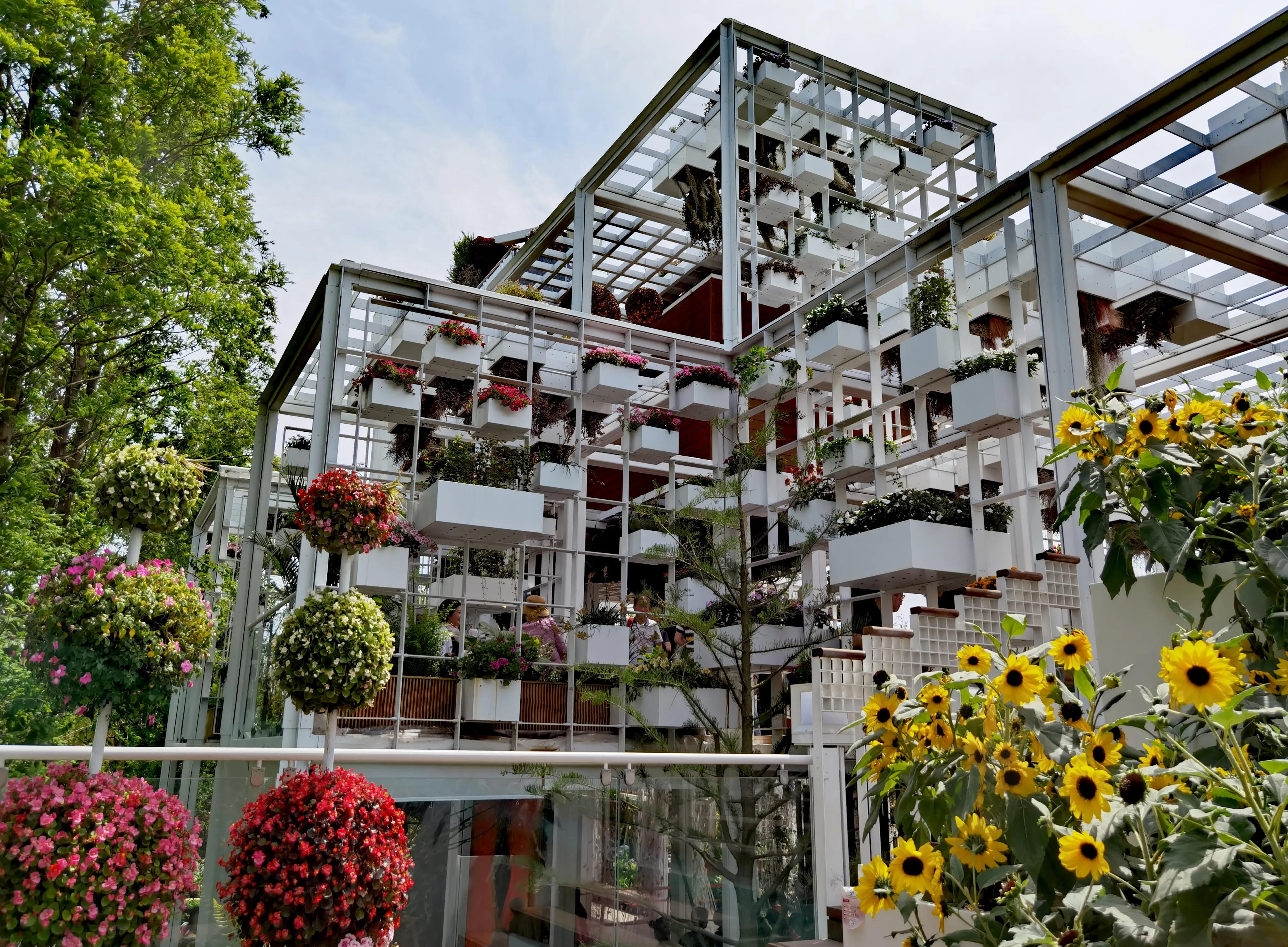 关于崇明花博会,崇明花博会全程花景