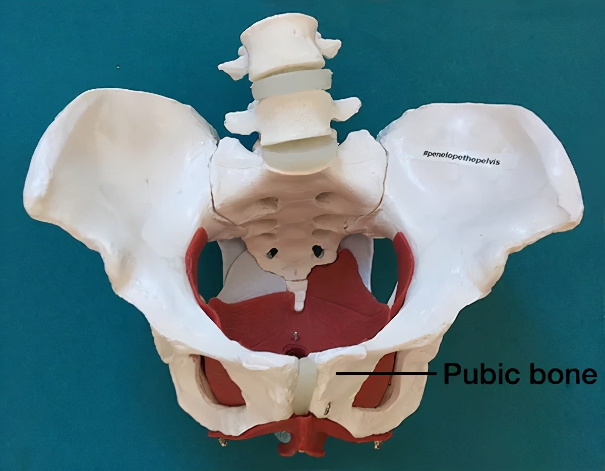 张雨绮怎么瘦成吴谨言了,张雨绮瘦的时候