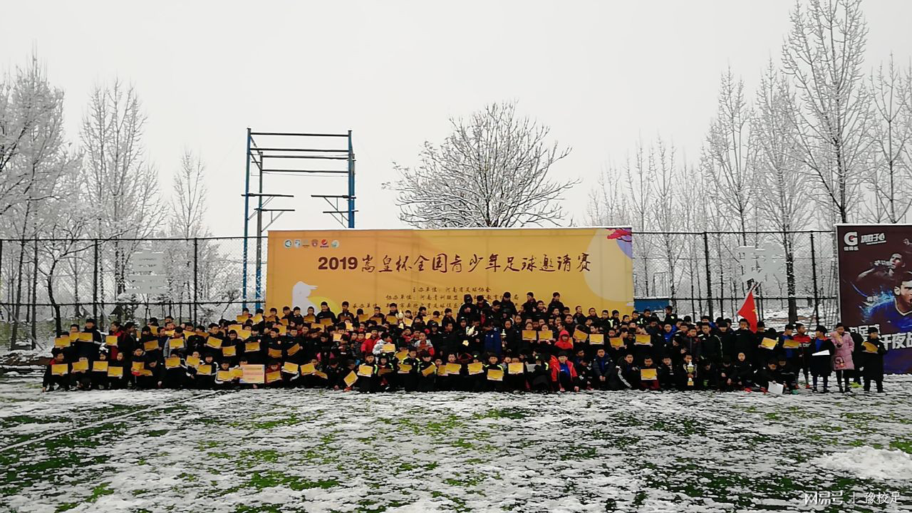 登封青少年足球精英邀请赛,2019嵩皇杯足球赛u10组