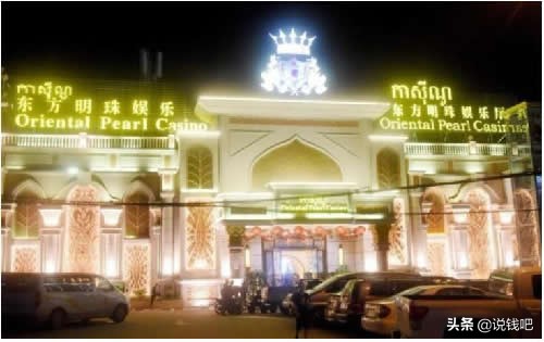 妄想柬埔寨种菠菜年薪百万的中国年轻人，梦想碎了一地