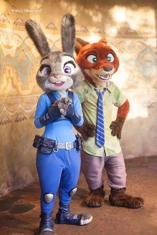 上海迪士尼攻略超详细最新 (你不知道的迪士尼隐藏玩法)