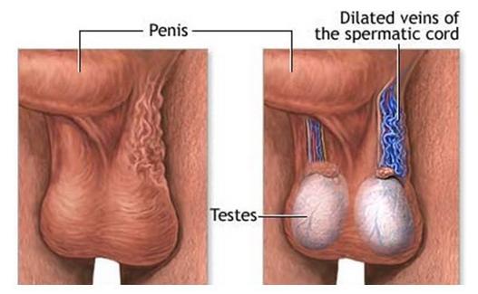 趣闻冷知识奇闻异事,关于蛋蛋的冷知识