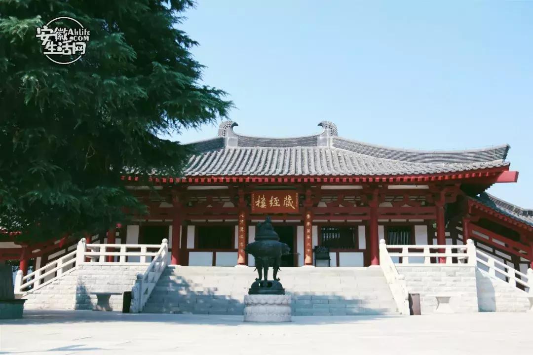 合肥市区免费游玩推荐,合肥市区一日游推荐免费景点