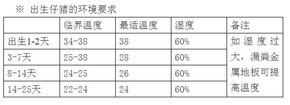 产房猪怎样管理,仔猪寄养流程