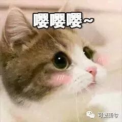 美莱整形医院全攻略,整形医生的618拔草清单