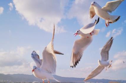 昆明适合拍照的景点有哪些,昆明大理周边旅游景点排名榜前十