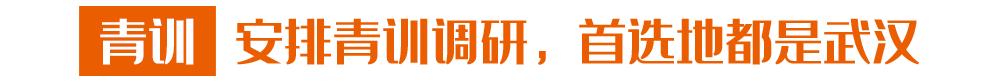 武汉足球俱乐部最好成绩,武汉足球厉害吗