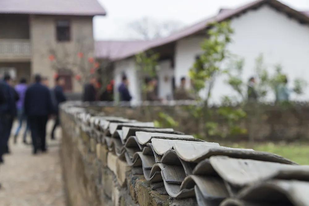 【谁不说咱家乡美】美丽中国，“乡”约万安（河西片）