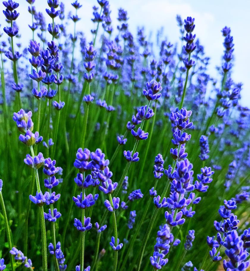 娼嶅潑鐢佃鍙伴煩鏅撶劧,闊╂檽鐒舵綅鍧婁富鎸佷汉