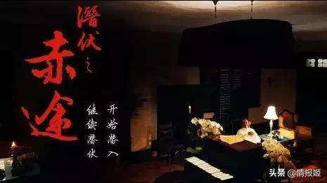 隐形守护者制作组解散,隐形守护者制作组干的事情