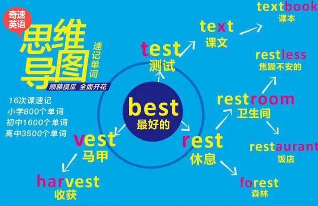高考英语书面表达的高级表达方式,2020高考英语全国1卷完形解析