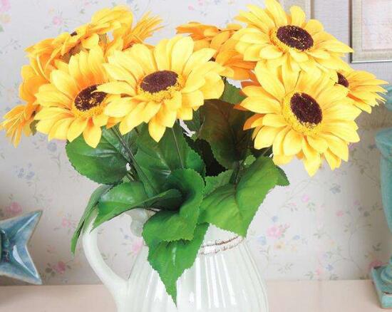 向日葵修剪盆栽,向日葵修剪水培