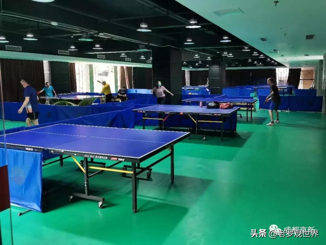 成都哪些体育场馆免费开放,成都开放的体育场有哪些