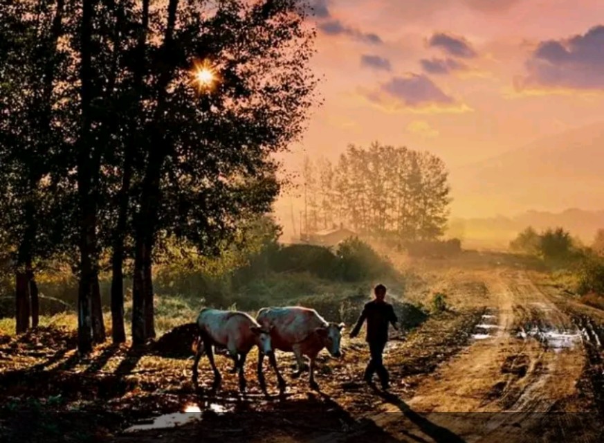 俗语“眉粗眼小福禄少，眉细眼大贫来扰”，是真的吗？