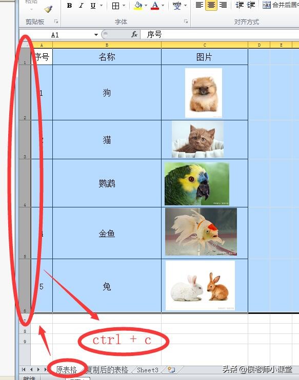 办公软件excel技巧如何制作表格,办公软件技巧excel图片打印