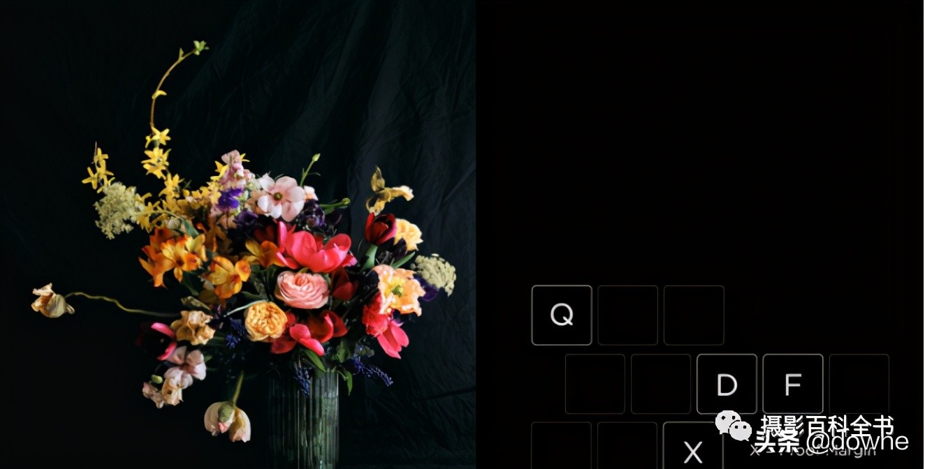 修出高级感的大片并不难飞思CaptureOne21Pro来帮你用过的都说好