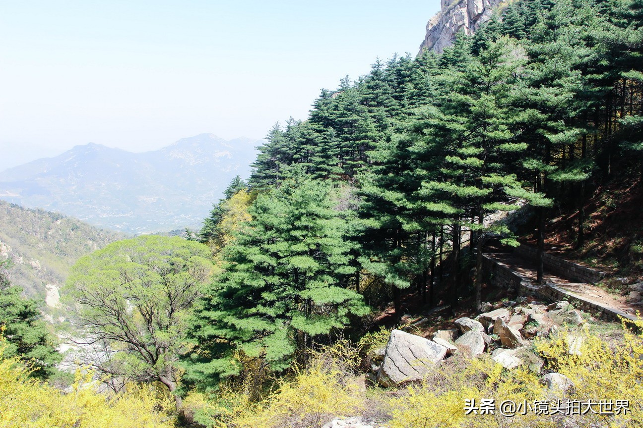 泰安泰山区天烛峰路,山东泰安泰山风景区天烛峰