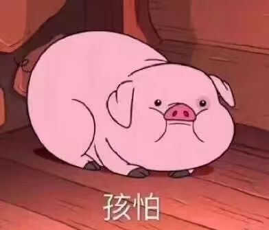 母猫生产后子宫脱垂,产后子宫脱垂怎么办