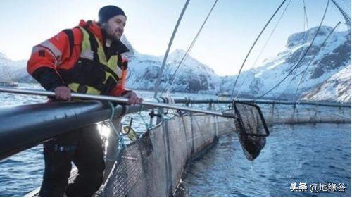 挪威入欧申请书,挪威申请入欧