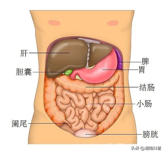 新冠肺炎救命神器,疫情期间急救神器