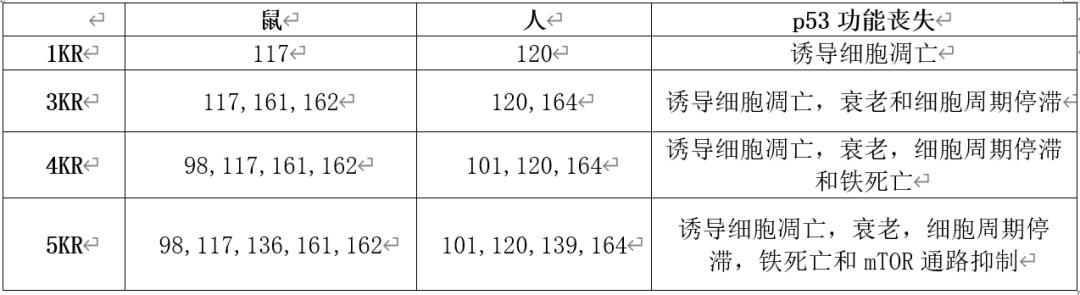 顾伟实验室解析p53抑癌功能的终极*器武**——铁死亡和mTOR