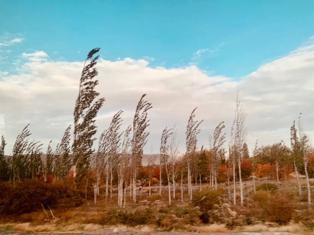 *疆新**早餐美|三步一娜扎，五步一热巴